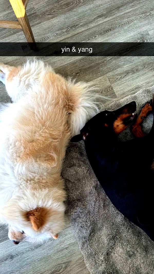 chloerosenbaum image ~ Altpins