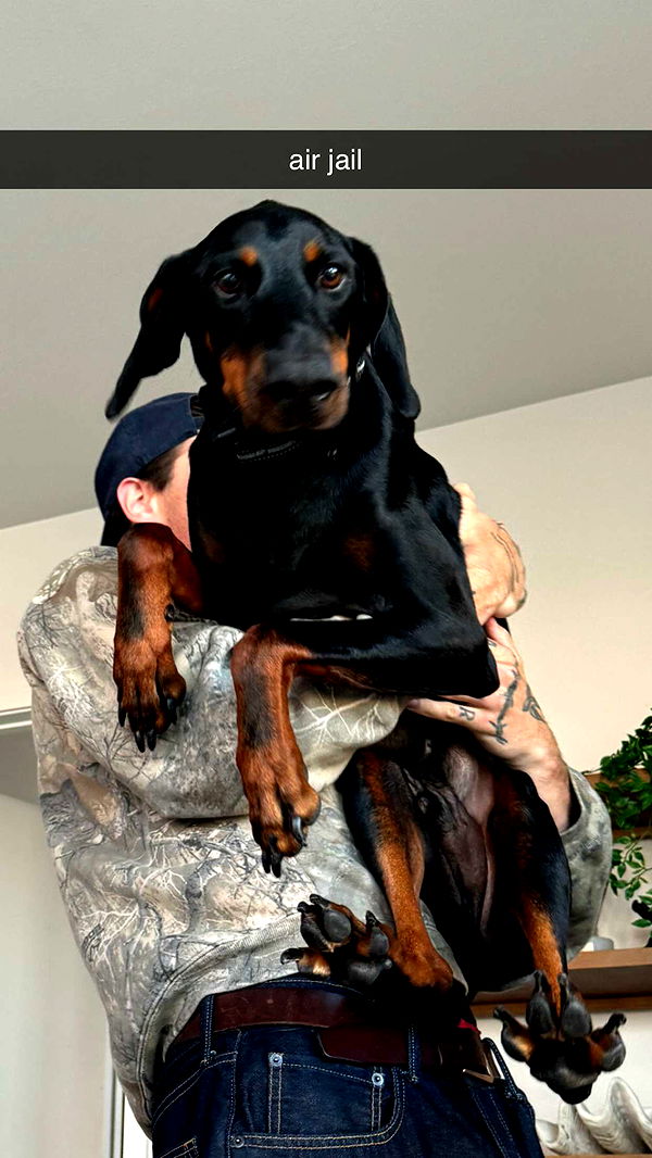 chloerosenbaum image ~ Altpins