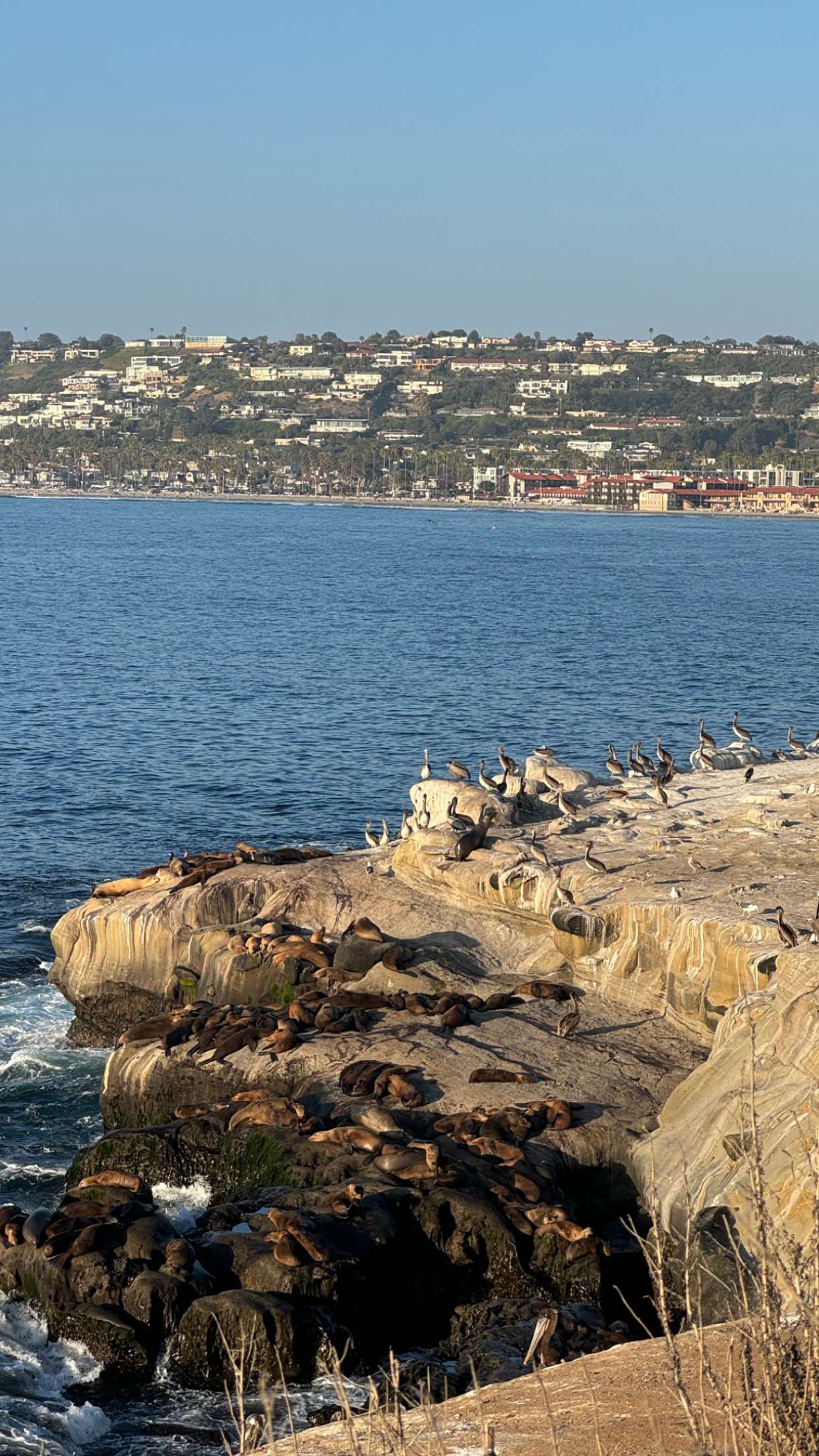 chloerosenbaum snapchat image archive image