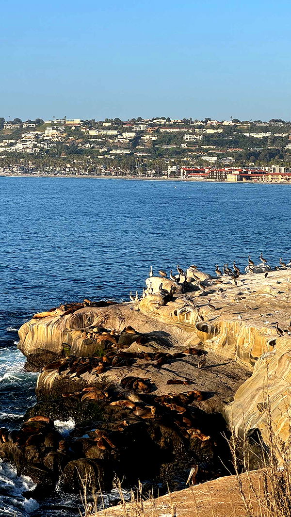 chloerosenbaum image ~ Altpins