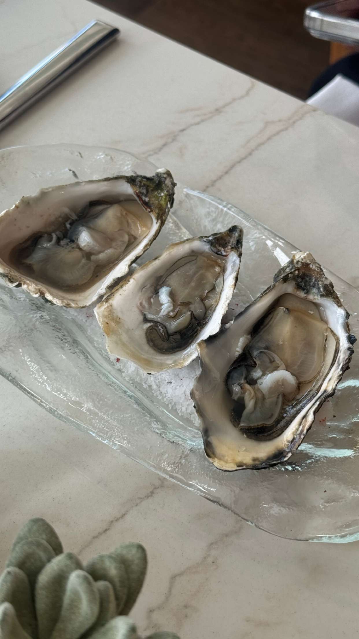 chloerosenbaum snapchat image archive image