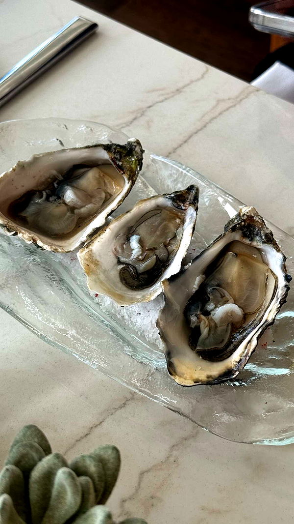 chloerosenbaum image ~ Altpins