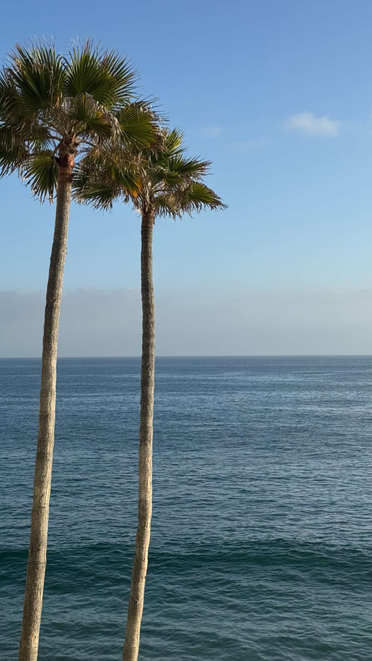 chloerosenbaum snapchat image archive image