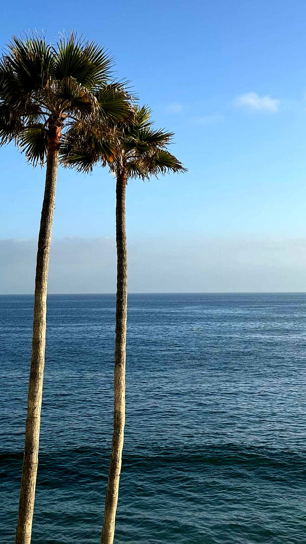 chloerosenbaum image ~ Altpins