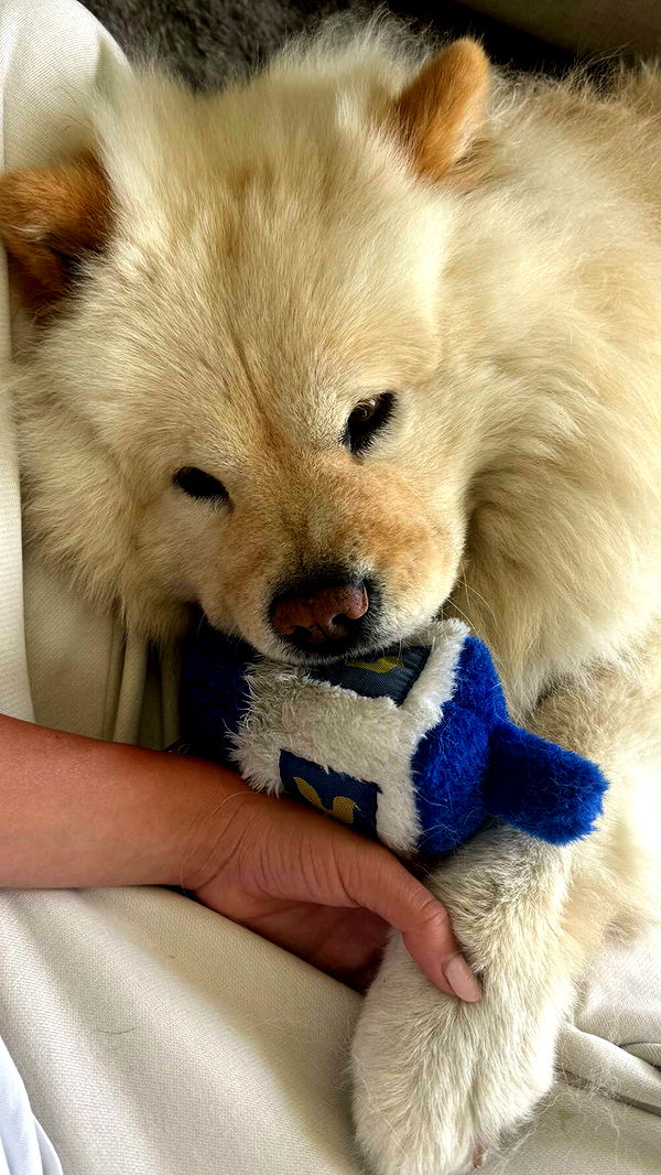 chloerosenbaum image ~ Altpins