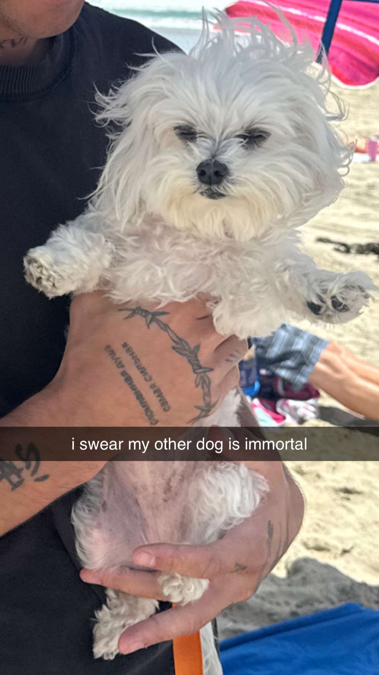 chloerosenbaum snapchat image archive image