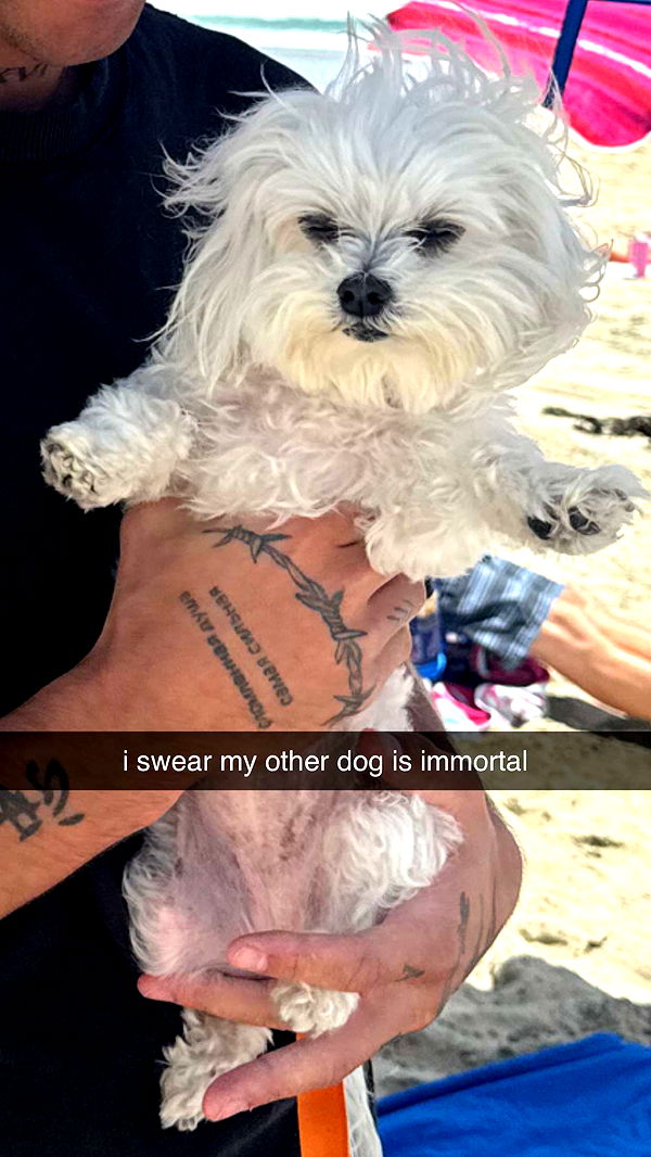 chloerosenbaum image ~ Altpins