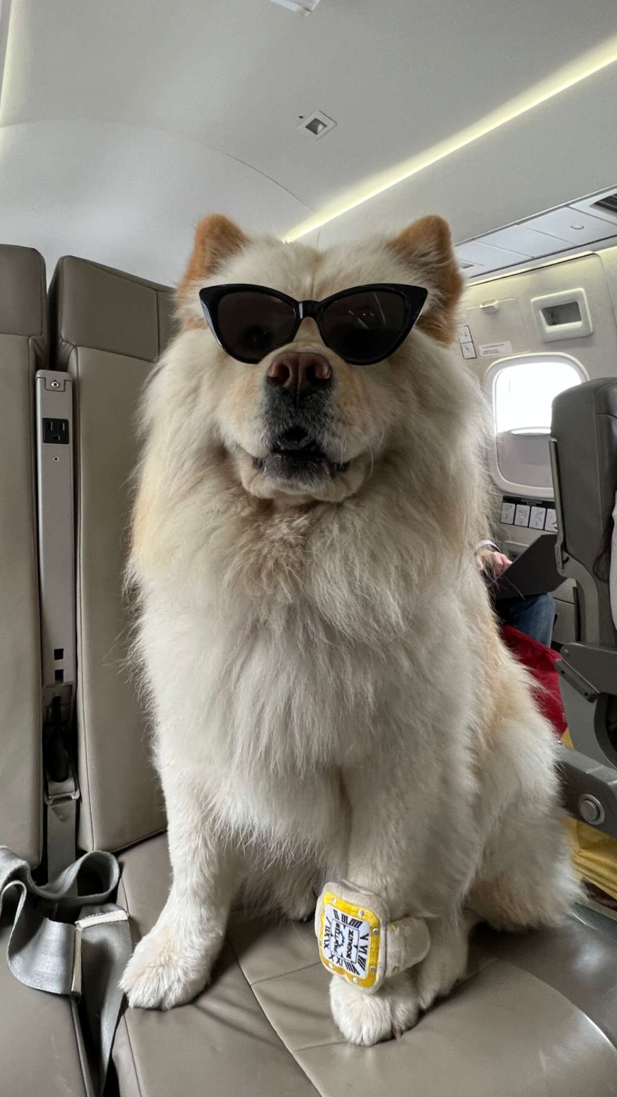 chloerosenbaum snapchat image archive image