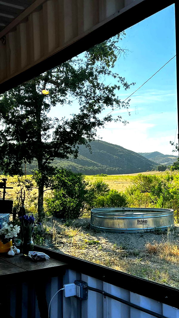 chloerosenbaum image ~ Altpins