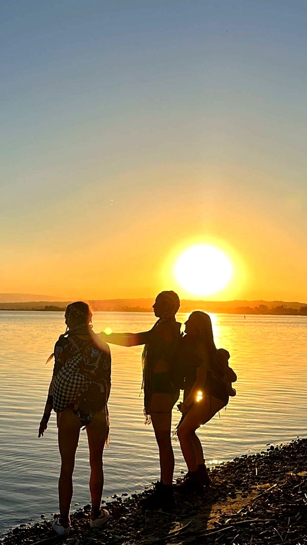 chloerosenbaum image ~ Altpins