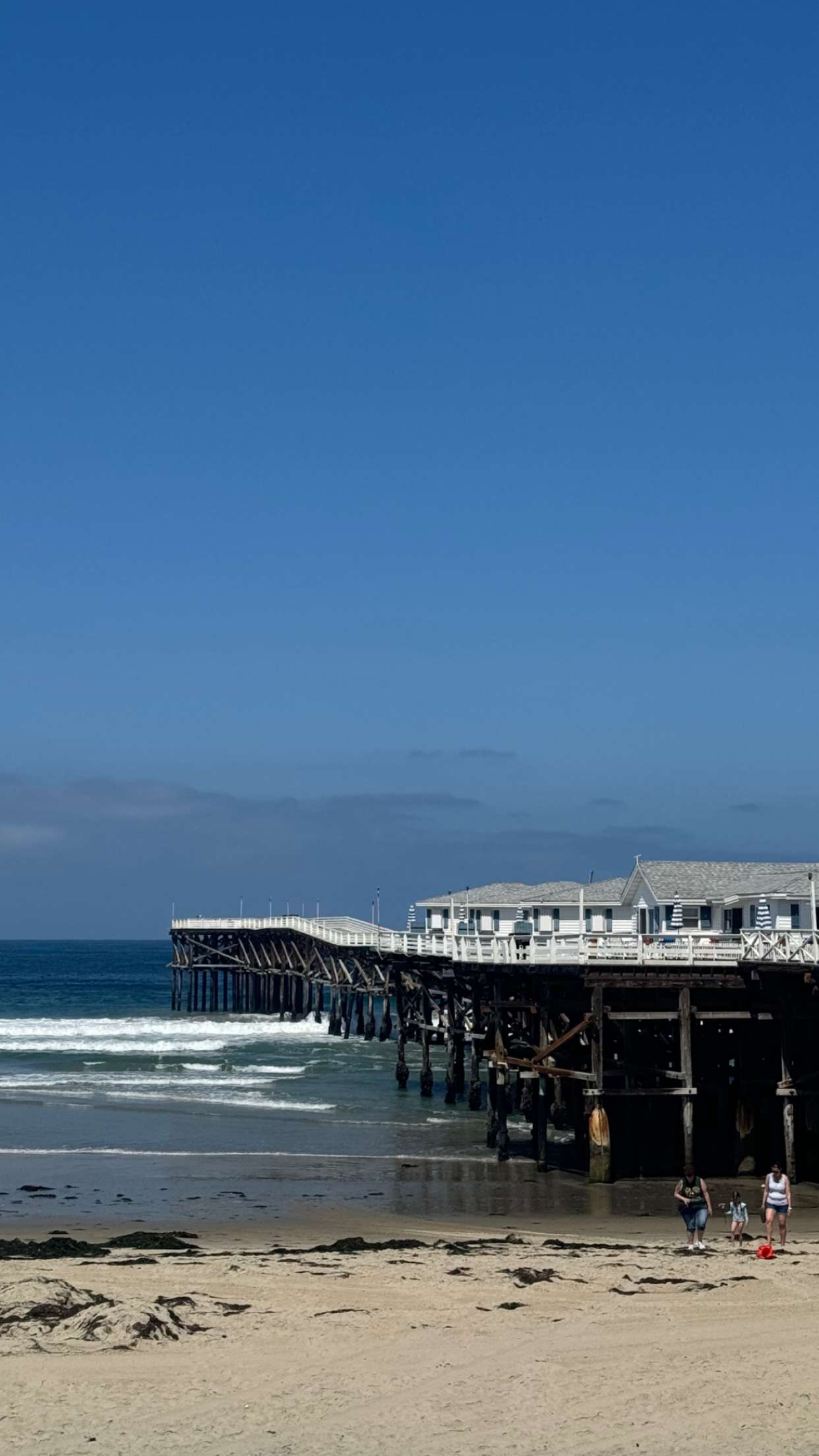 chloerosenbaum snapchat image archive image