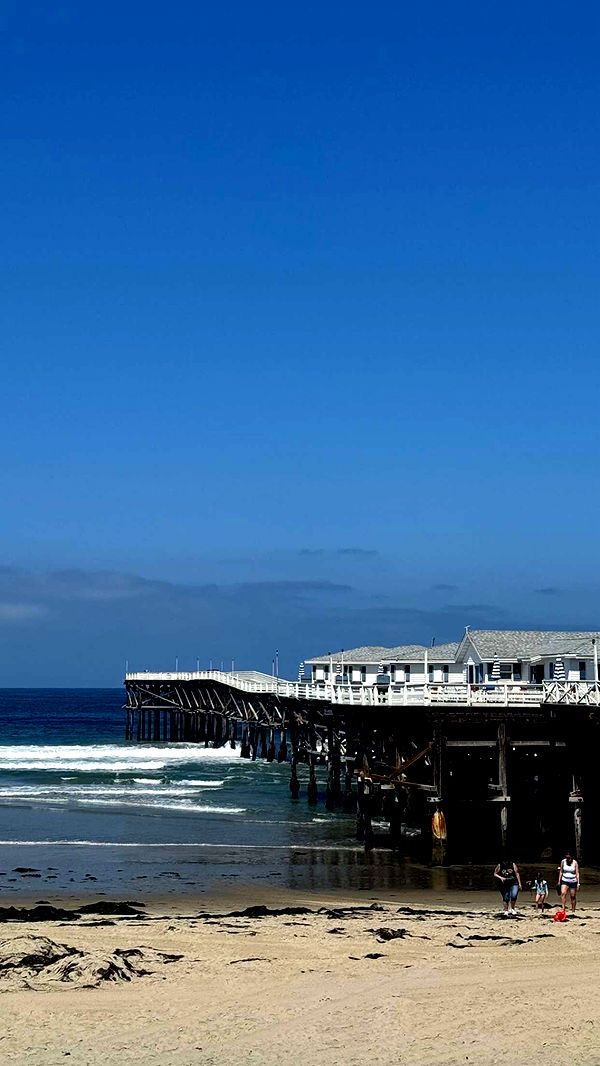 chloerosenbaum image ~ Altpins