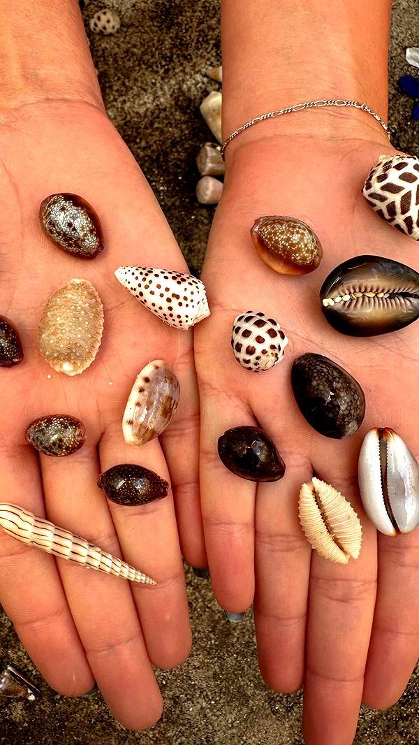 chloerosenbaum image ~ Altpins