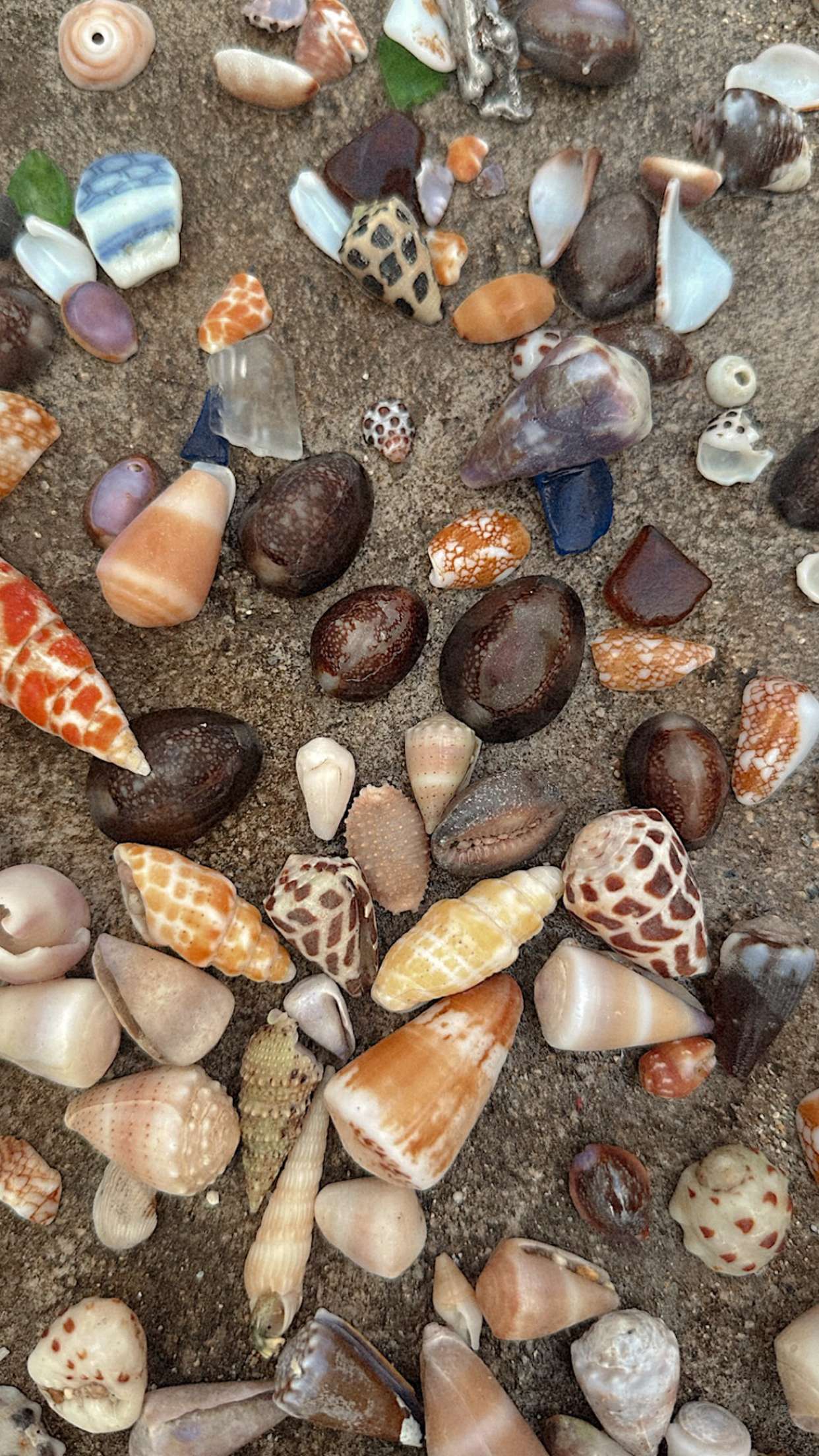 chloerosenbaum snapchat image archive image