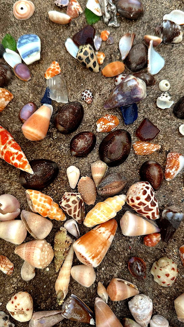 chloerosenbaum image ~ Altpins