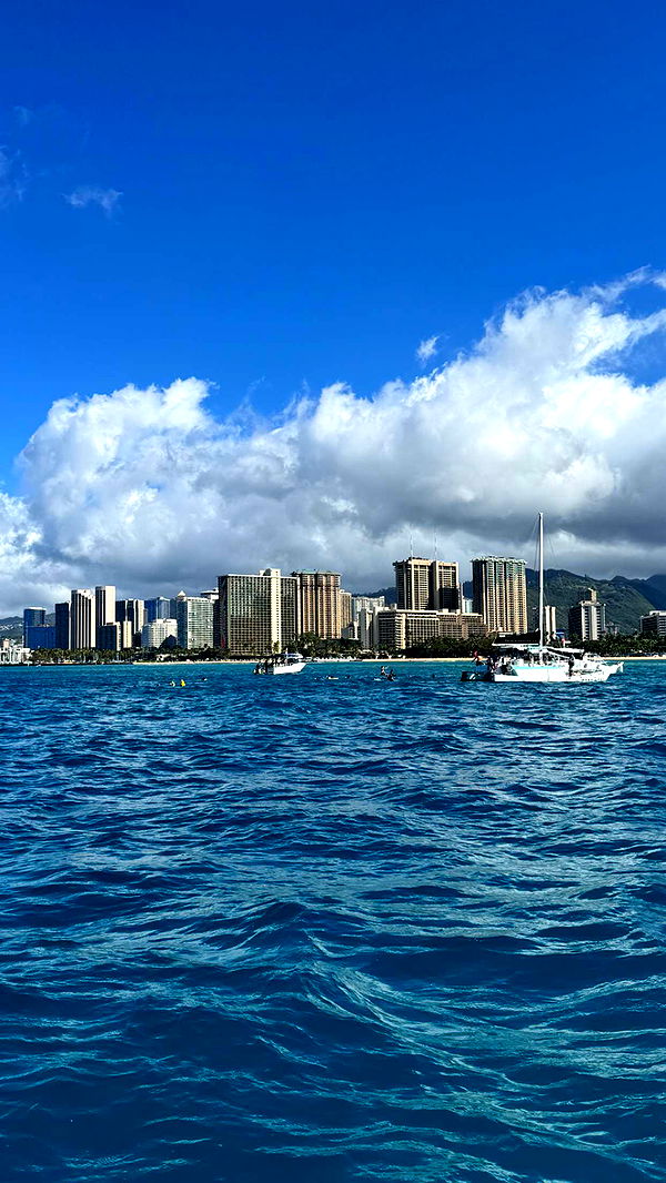 chloerosenbaum image ~ Altpins