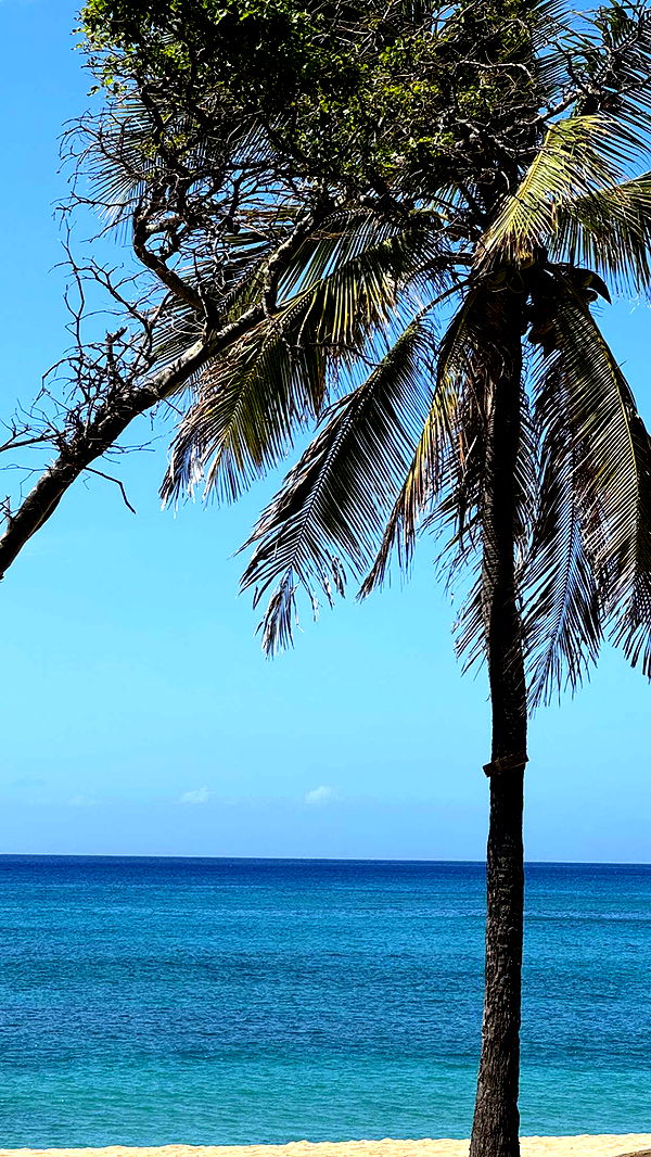 chloerosenbaum image ~ Altpins