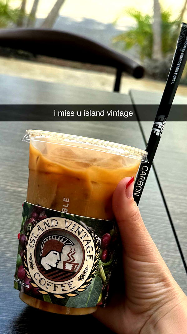 chloerosenbaum image ~ Altpins