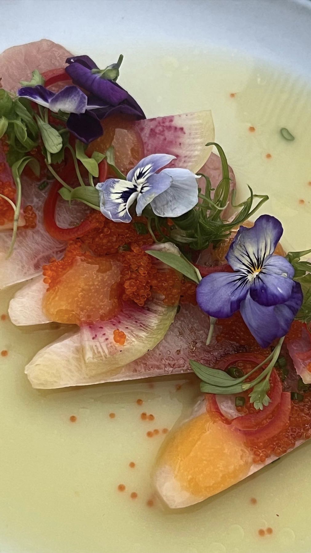 chloerosenbaum snapchat image archive image