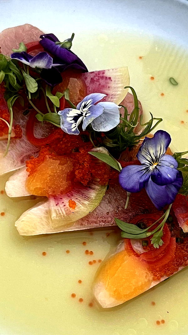 chloerosenbaum image ~ Altpins