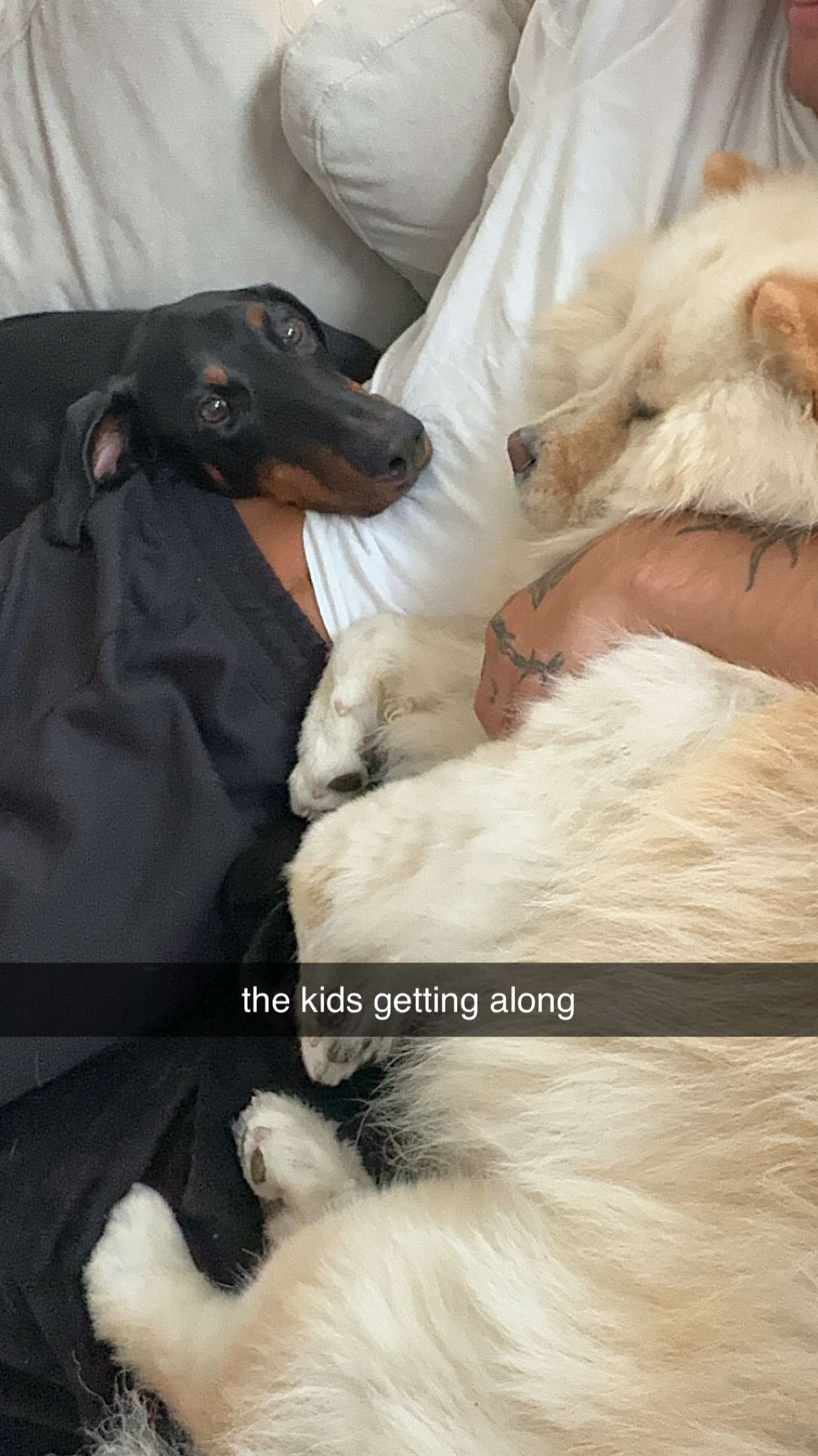 chloerosenbaum snapchat image archive image