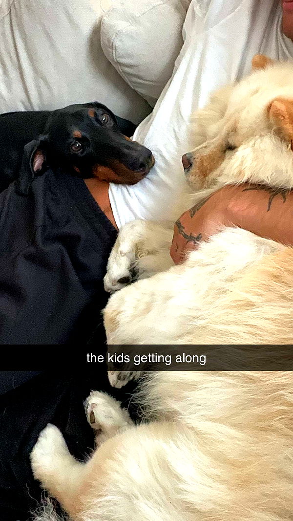 chloerosenbaum image ~ Altpins