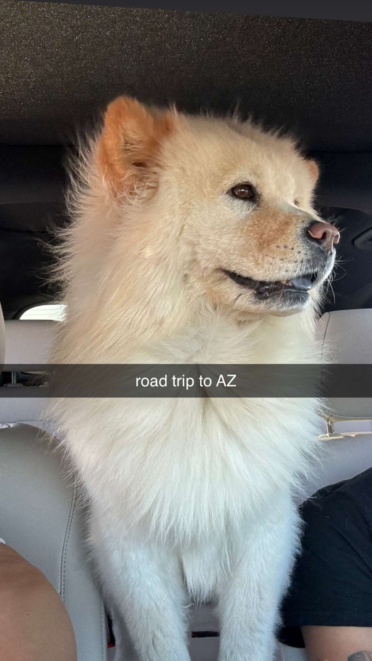 chloerosenbaum snapchat image archive image