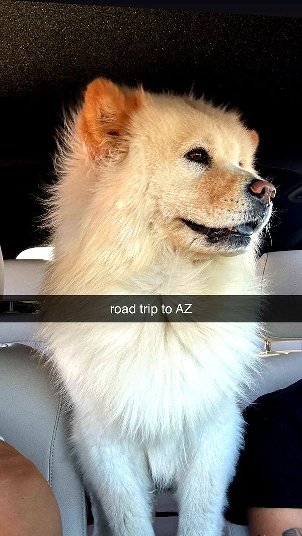 chloerosenbaum image ~ Altpins