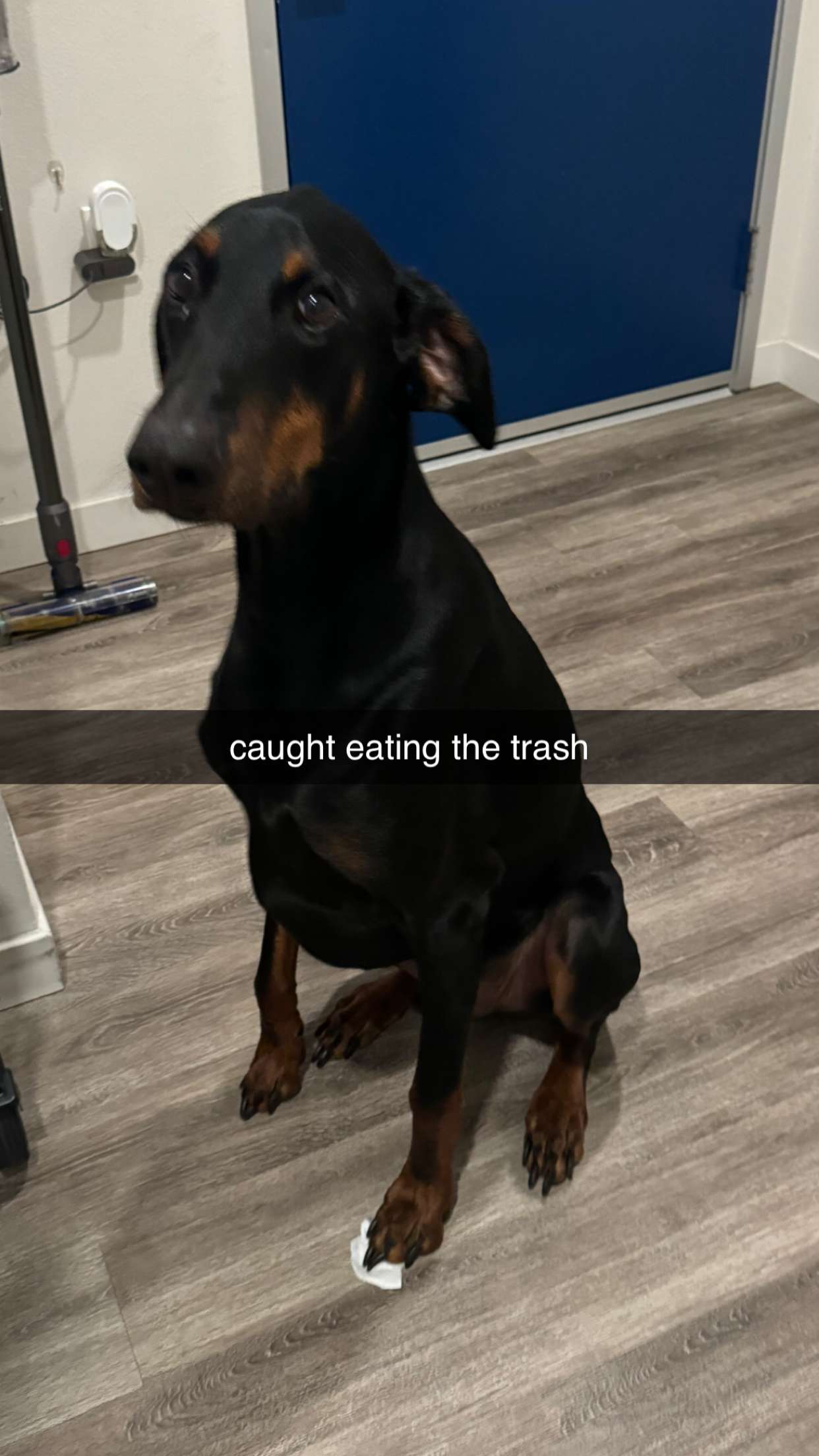 chloerosenbaum snapchat image archive image