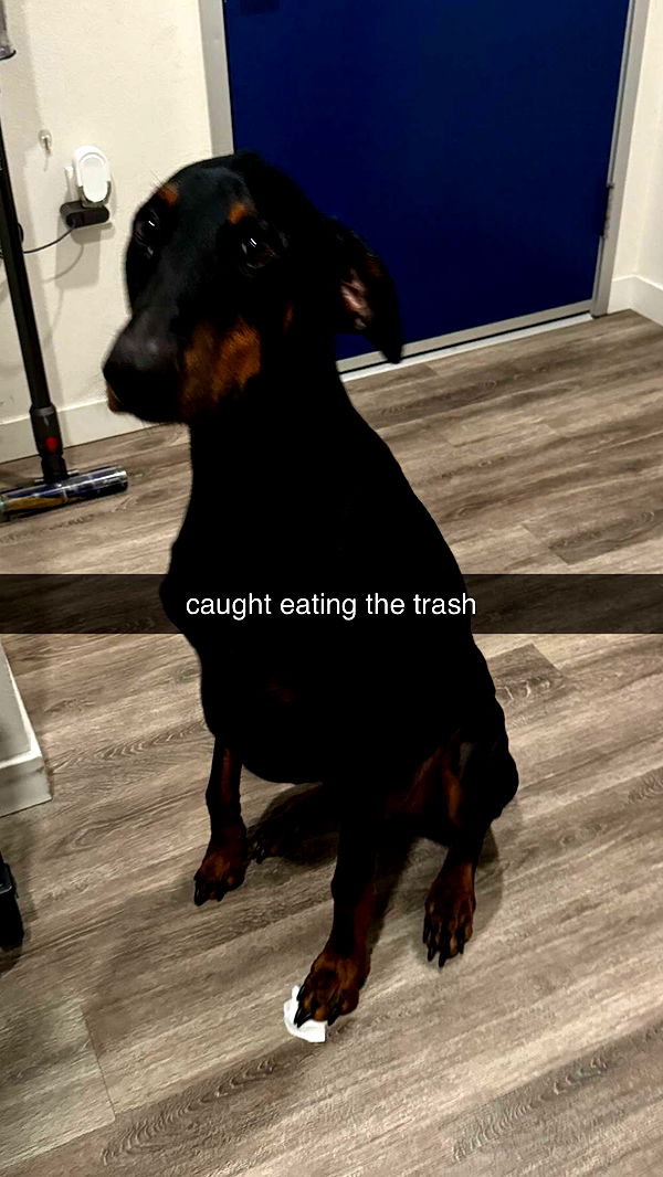 chloerosenbaum image ~ Altpins