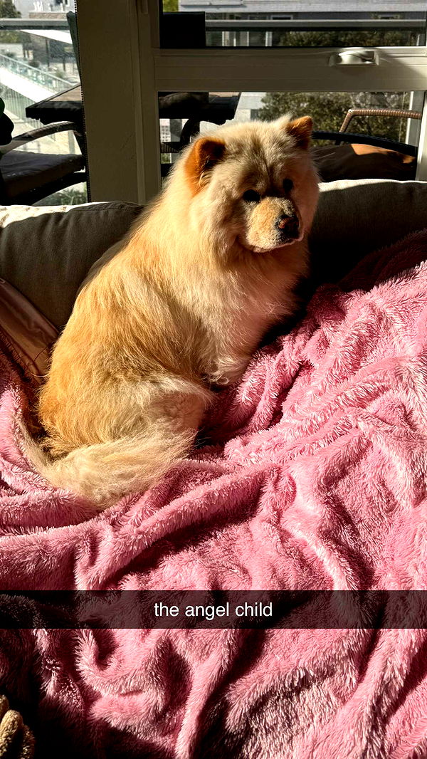 chloerosenbaum image ~ Altpins