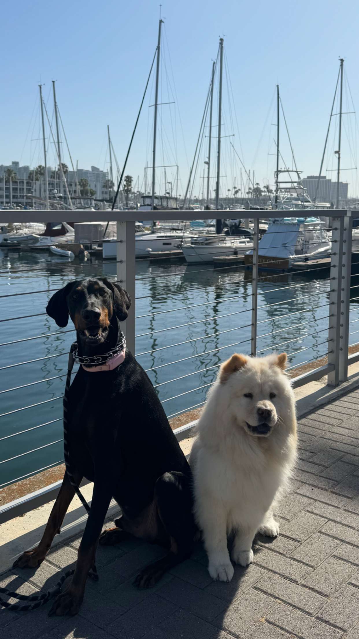 chloerosenbaum snapchat image archive image