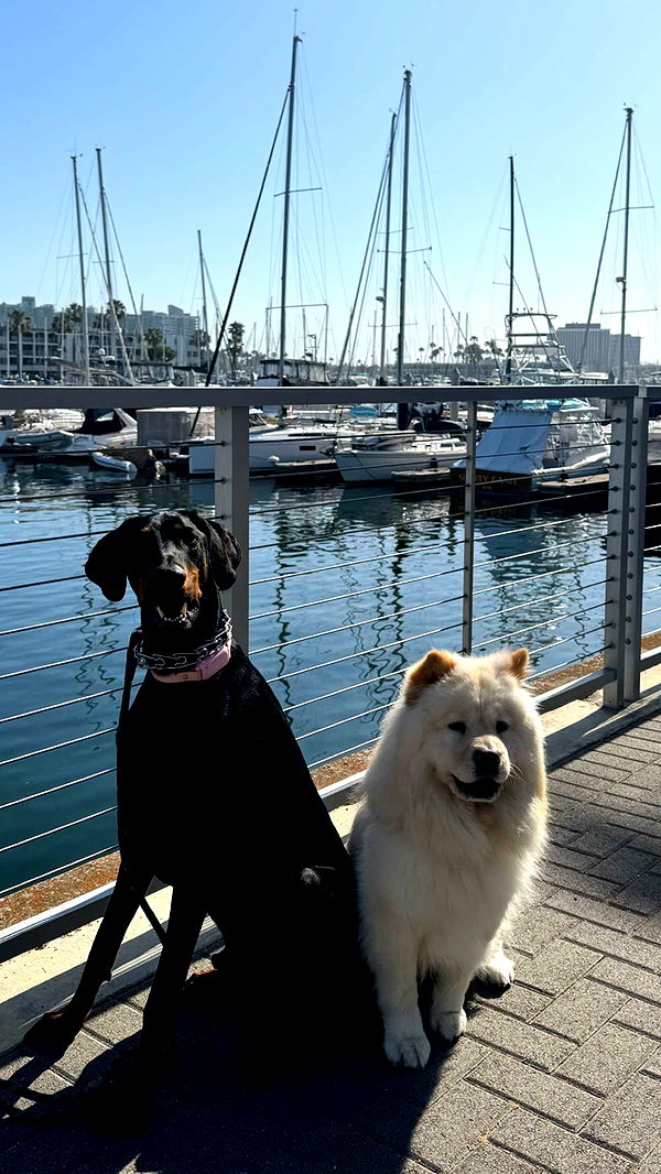 chloerosenbaum image ~ Altpins