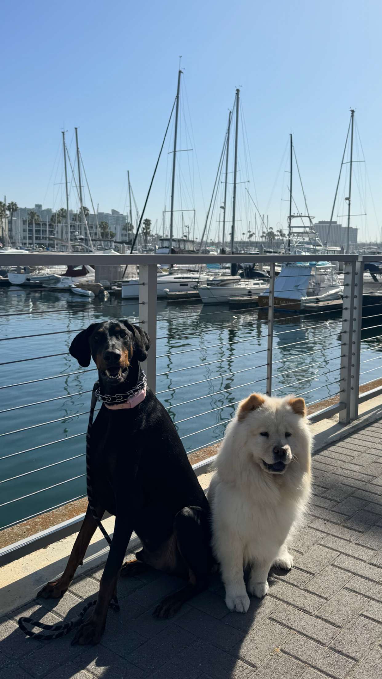 chloerosenbaum snapchat image archive image