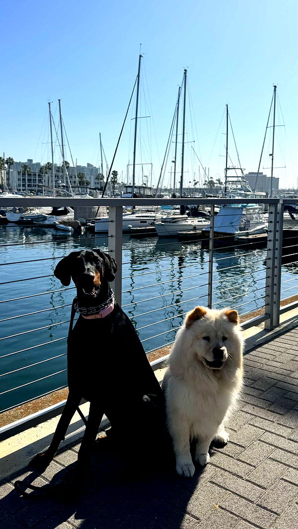 chloerosenbaum image ~ Altpins