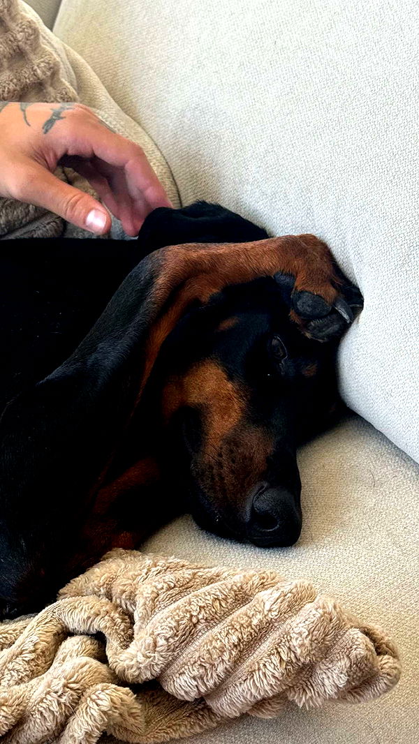 chloerosenbaum image ~ Altpins