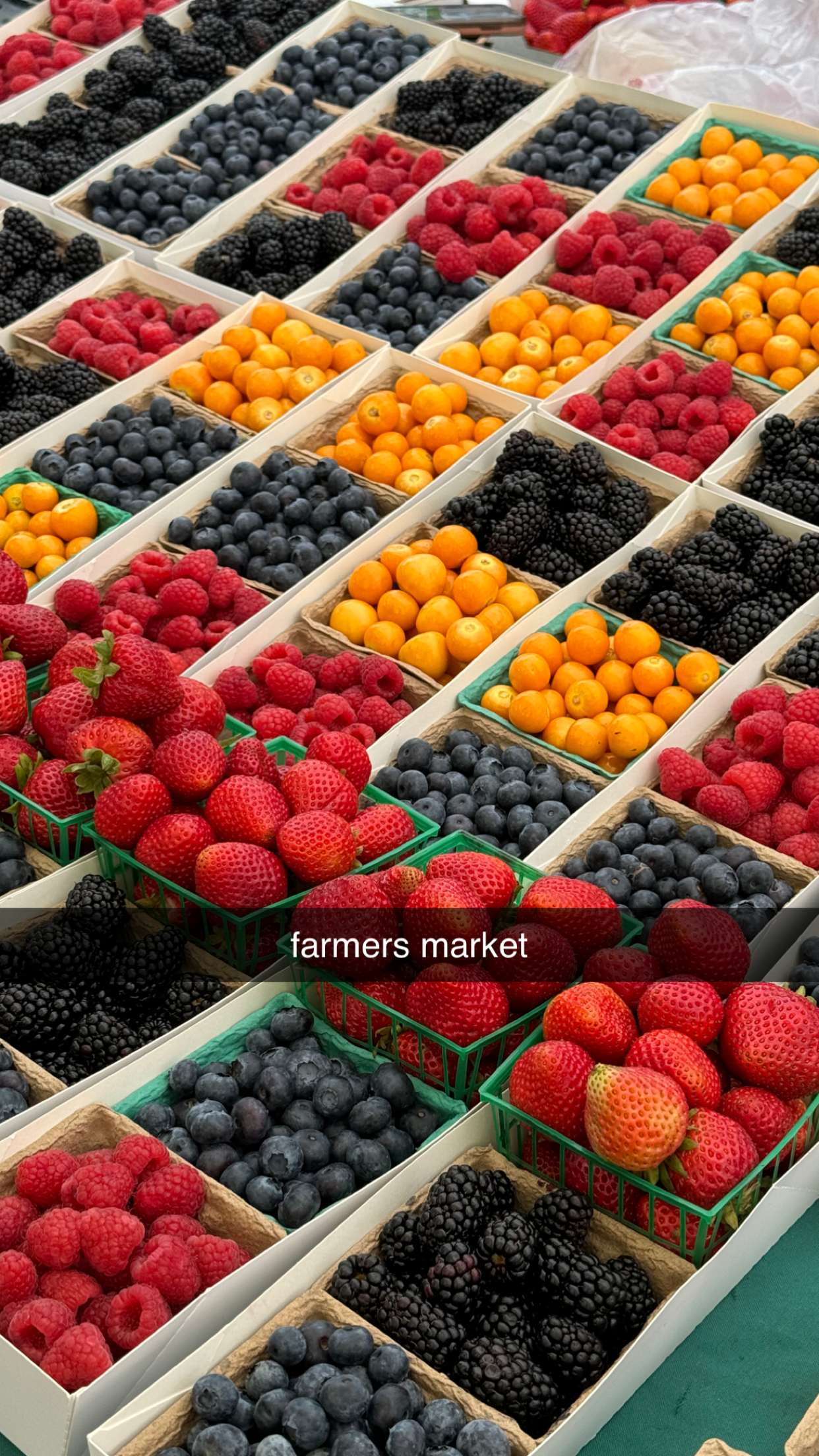 chloerosenbaum snapchat image archive image