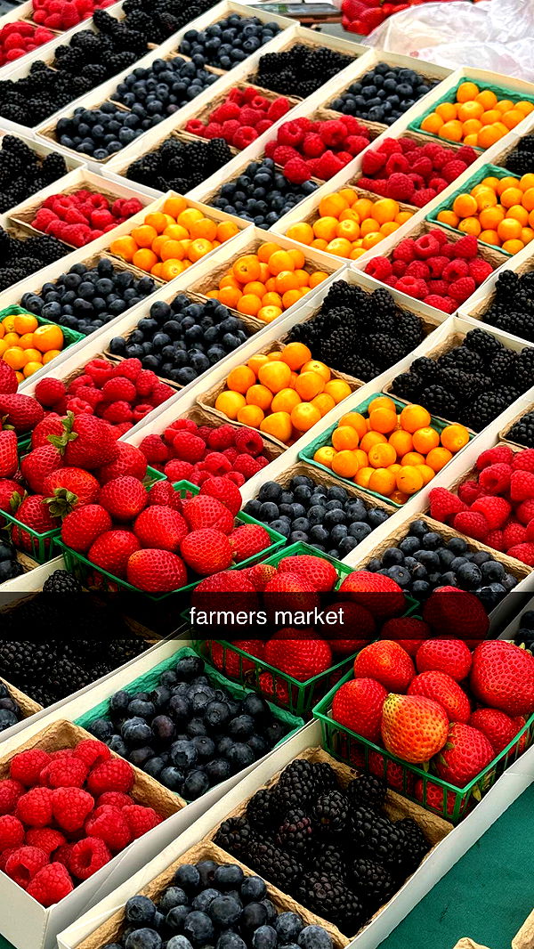 chloerosenbaum image ~ Altpins