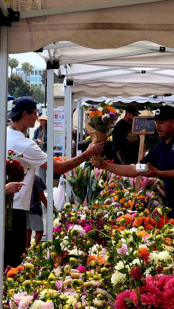 chloerosenbaum image ~ Altpins