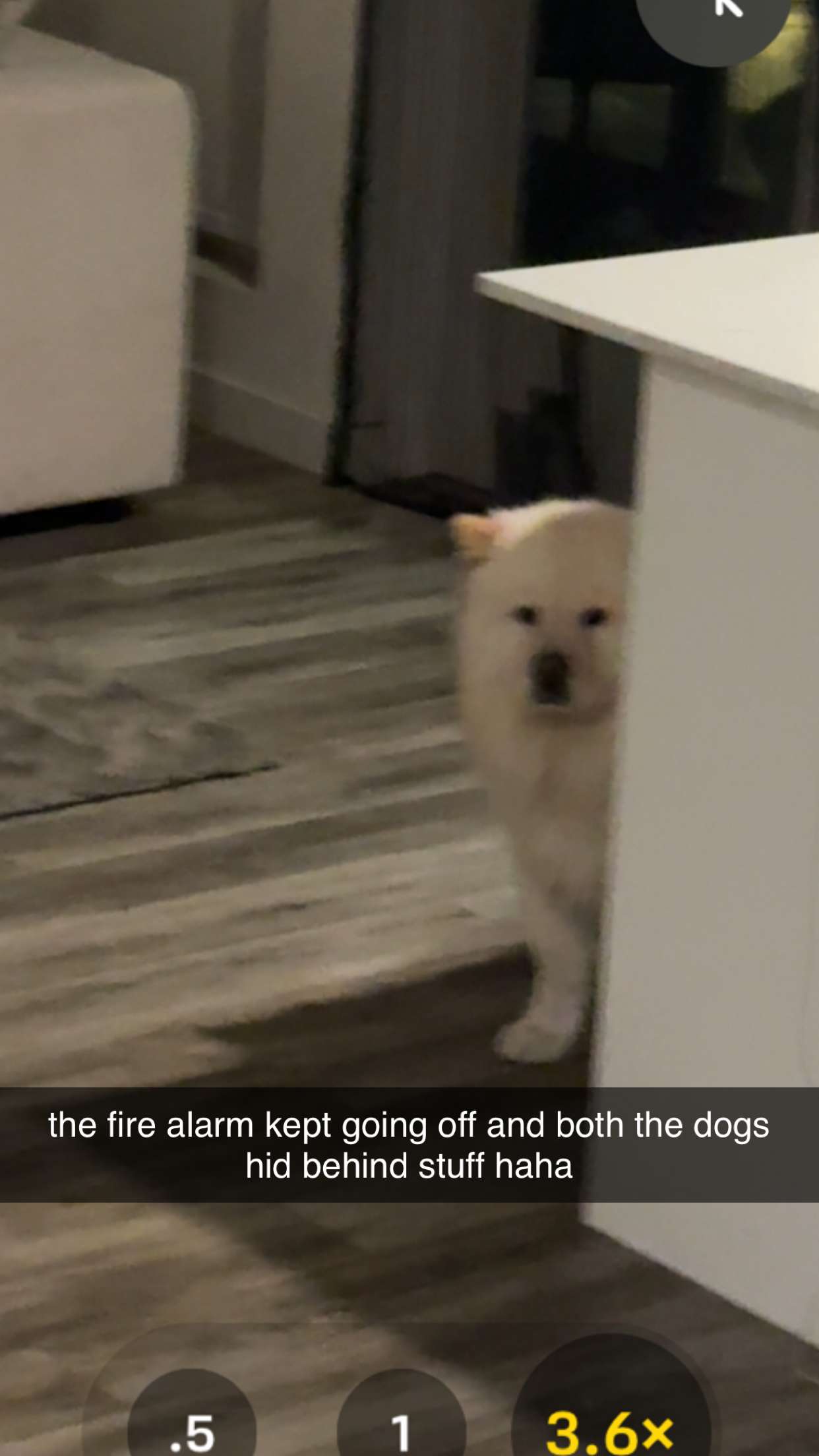 chloerosenbaum snapchat image archive image