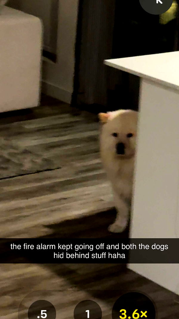 chloerosenbaum image ~ Altpins