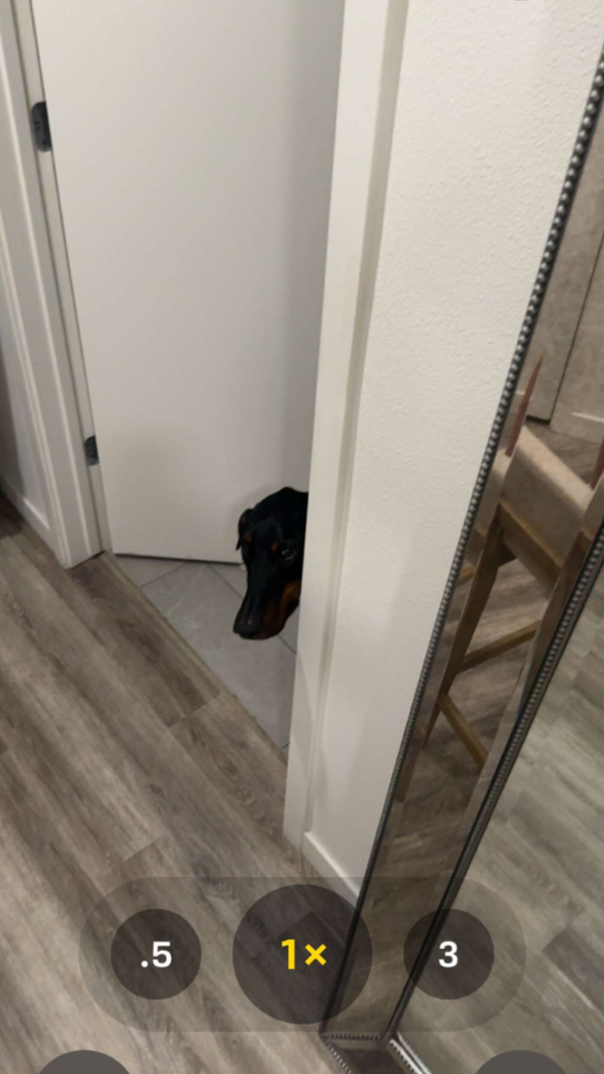 chloerosenbaum snapchat image archive image