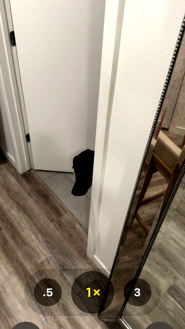 chloerosenbaum image ~ Altpins