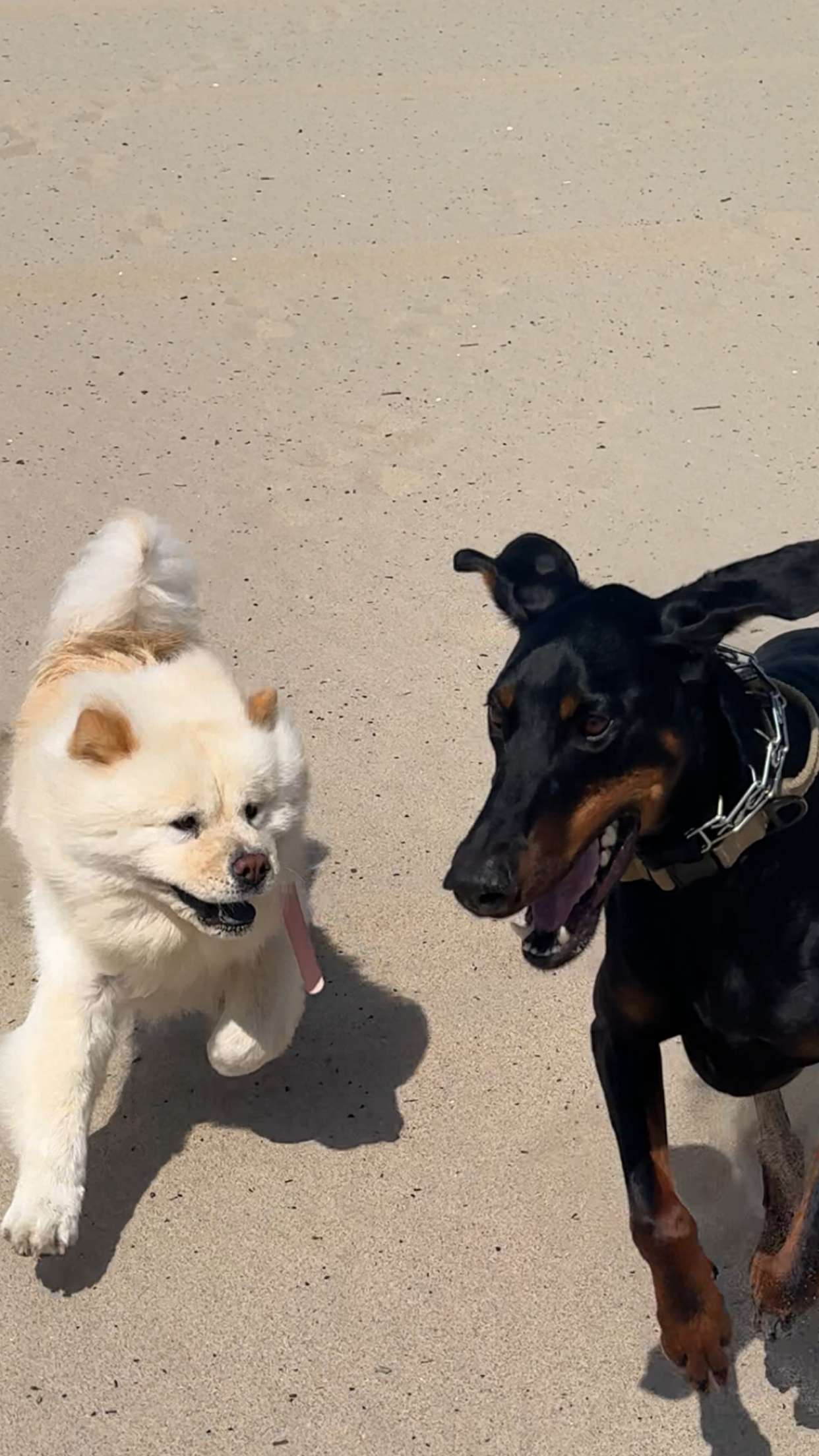 chloerosenbaum snapchat image archive image