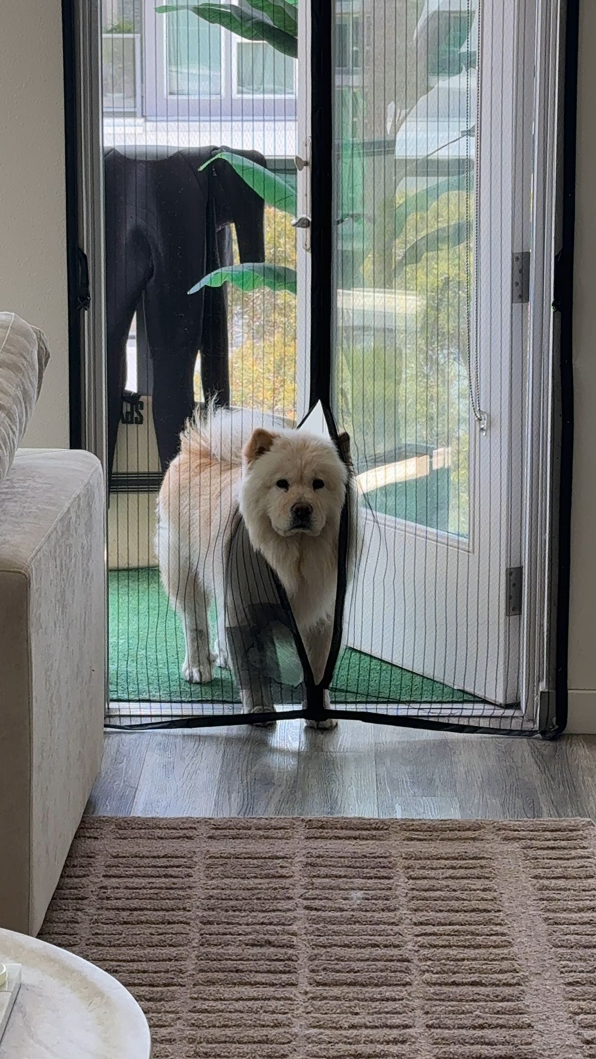 chloerosenbaum snapchat image archive image