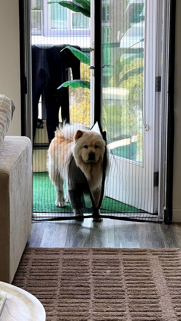 chloerosenbaum image ~ Altpins