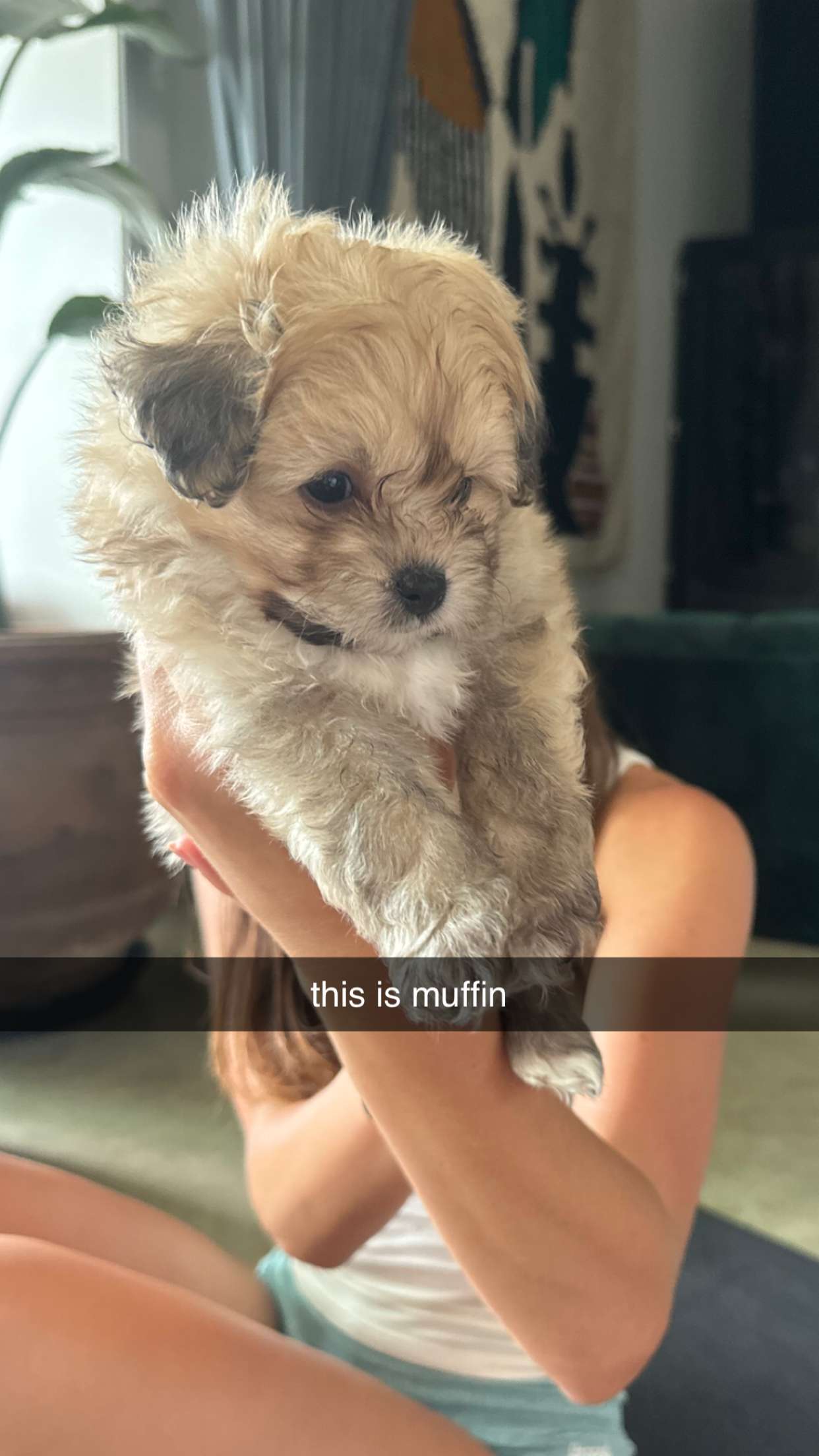 chloerosenbaum snapchat image archive image