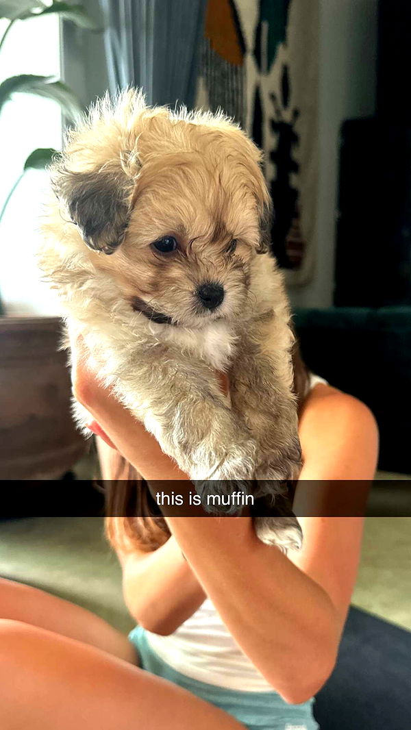 chloerosenbaum image ~ Altpins