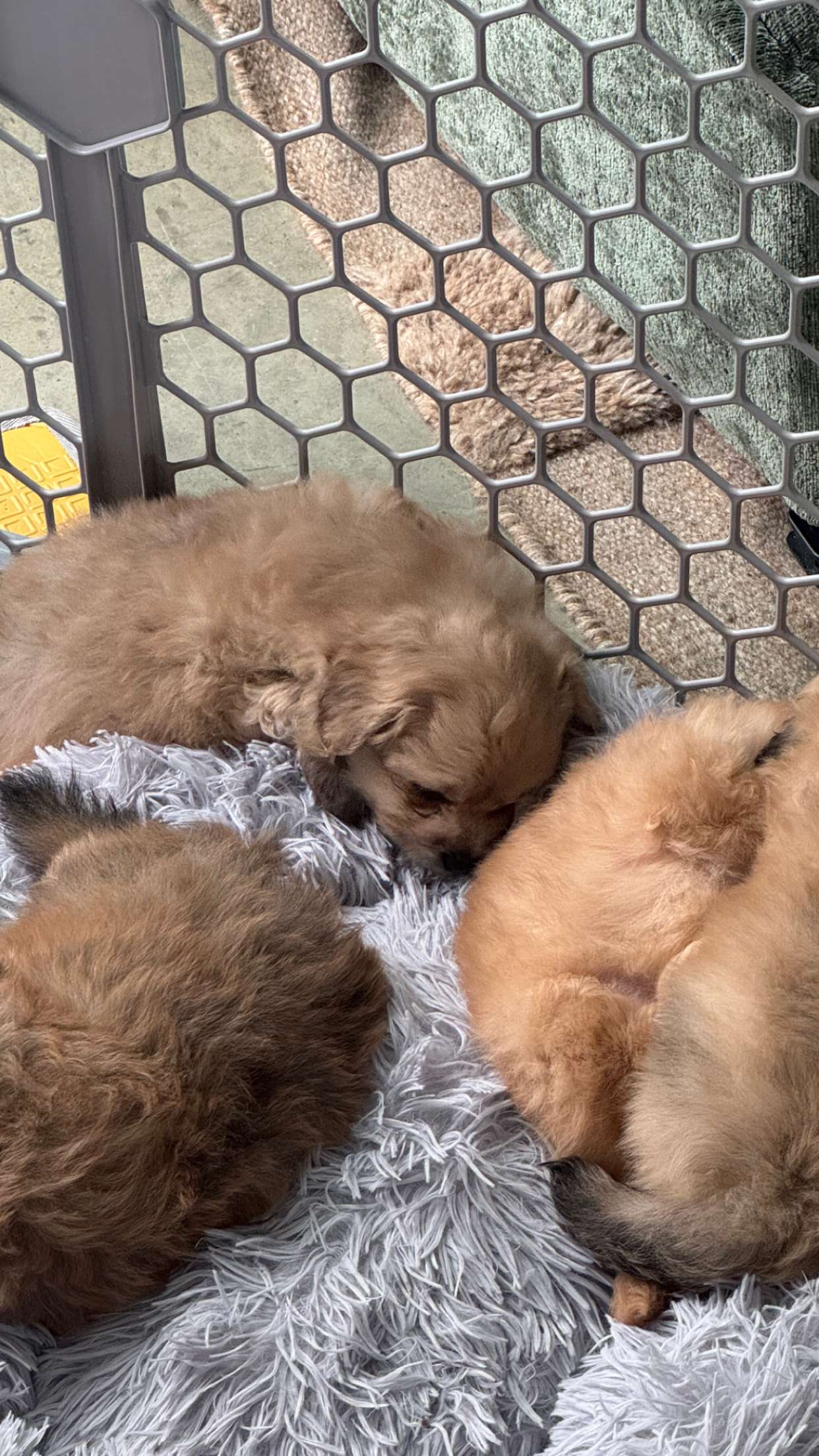 chloerosenbaum snapchat image archive image