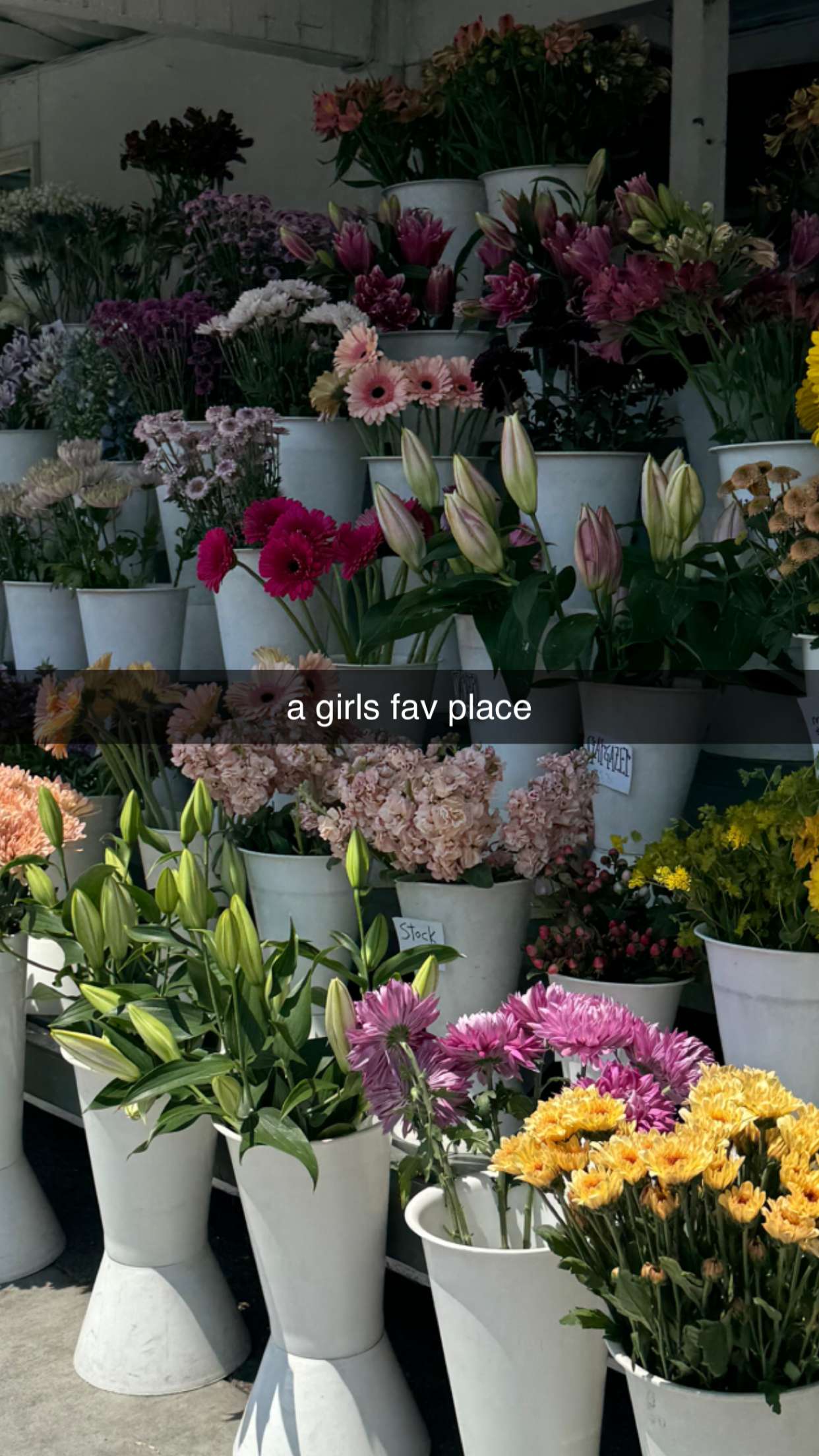 chloerosenbaum snapchat image archive image